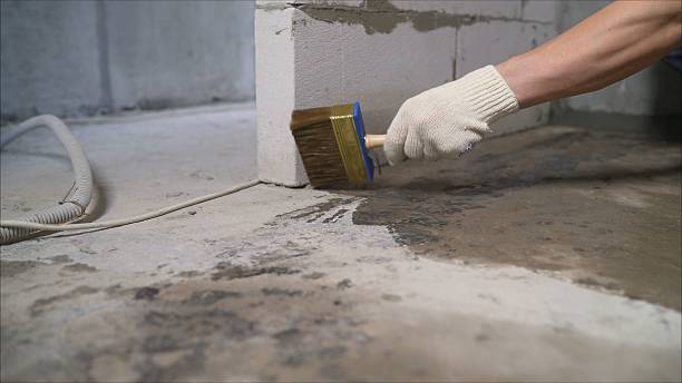 SJ Waterproofing Pros Crawl Space Encapsulation coverage map for Princeton, KY and surrounding area